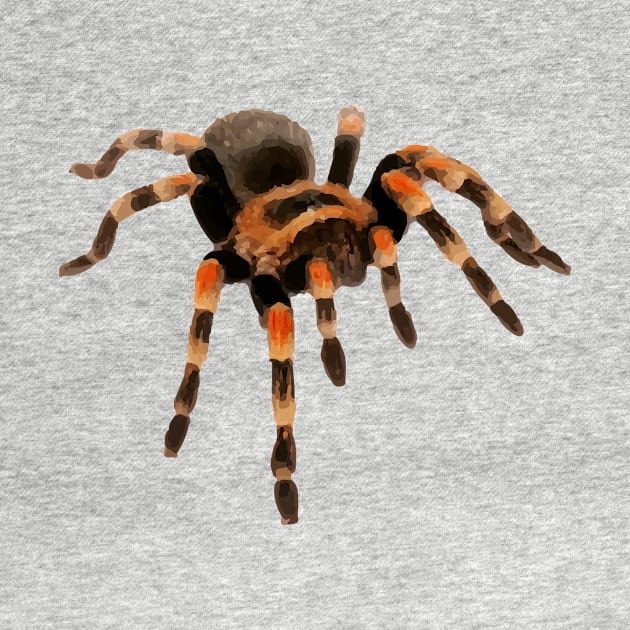 Tarantula by TortillaChief